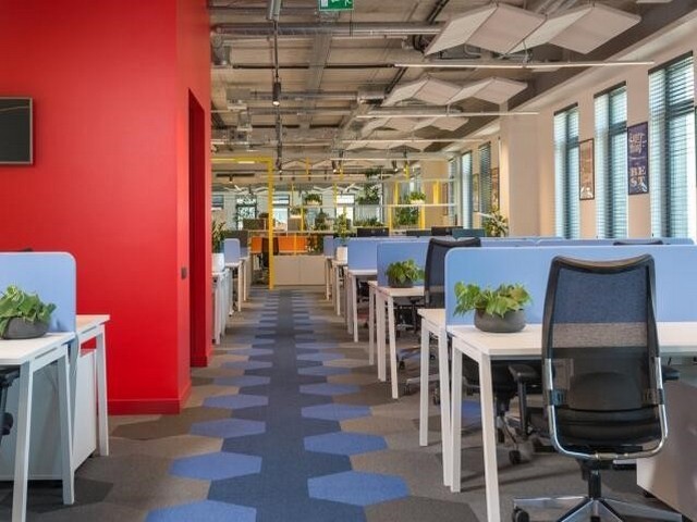 四川价格及优CENTERLINE蝶阀设备